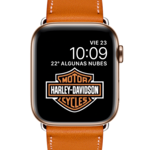 harley davidson watch price in indian rupees